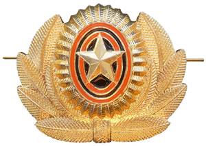 Army officer winter hat insignia Current issue