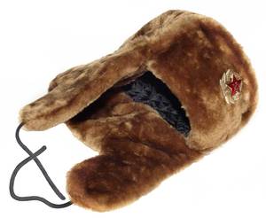 Russian ushanka winter hat. Brown.